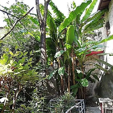 Apartment Pinetina Gargnano