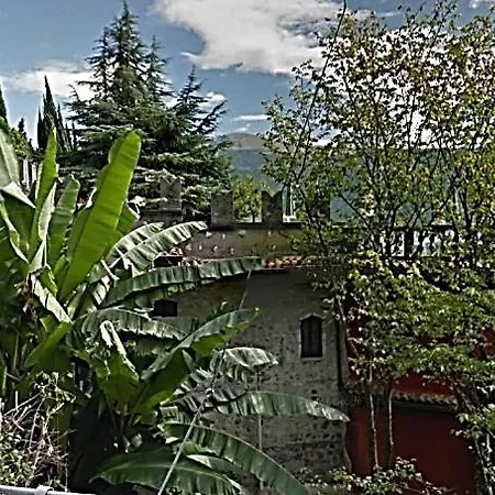 Pinetina * Gargnano